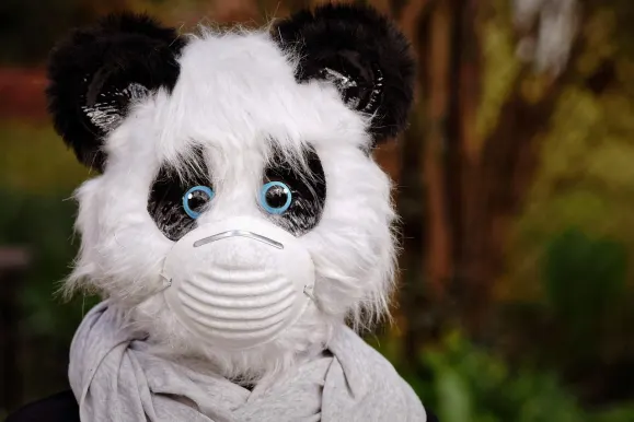 SilverPlay Casino Soporte